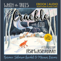 When the Trees Crackle with Cold: A Cree Calendar TH-dialect edition EBOOK: nīhithaw pīsimwasinahikan